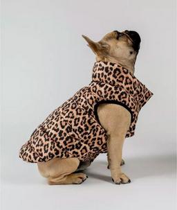 BERNARD' Water Resistant Baffle Padded Dog Coat