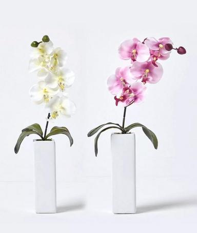 Set of 2 Orchids in Thin Cream Vases, 43 cm