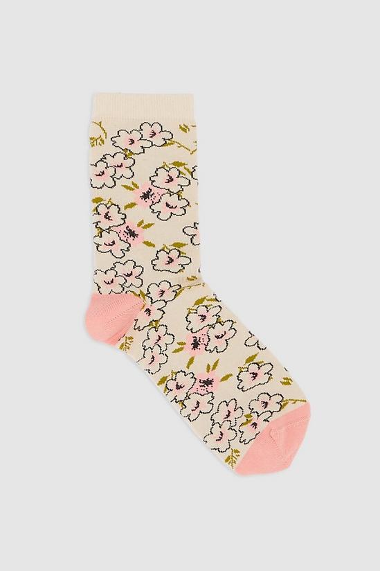 Debenhams 5pp Floral Spot Ankle Sock 2