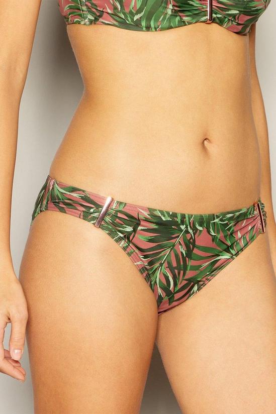Debenhams Tonal Palm Print Bikini Bottom 1