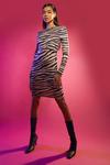 boohoo Zebra Round Neck Long Sleeve Mini Dress thumbnail 3