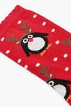 boohoo Christmas Penguin Socks thumbnail 2