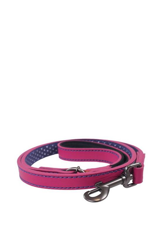 Joules For Dapper Dogs Pink With Polka Dot Lining Leather Dog Lead With Padded Handle 1