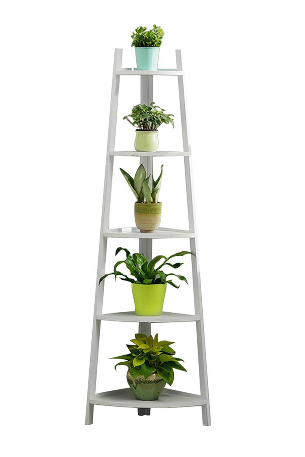 5-tier Modern Corner Ladder Plant Display Stand