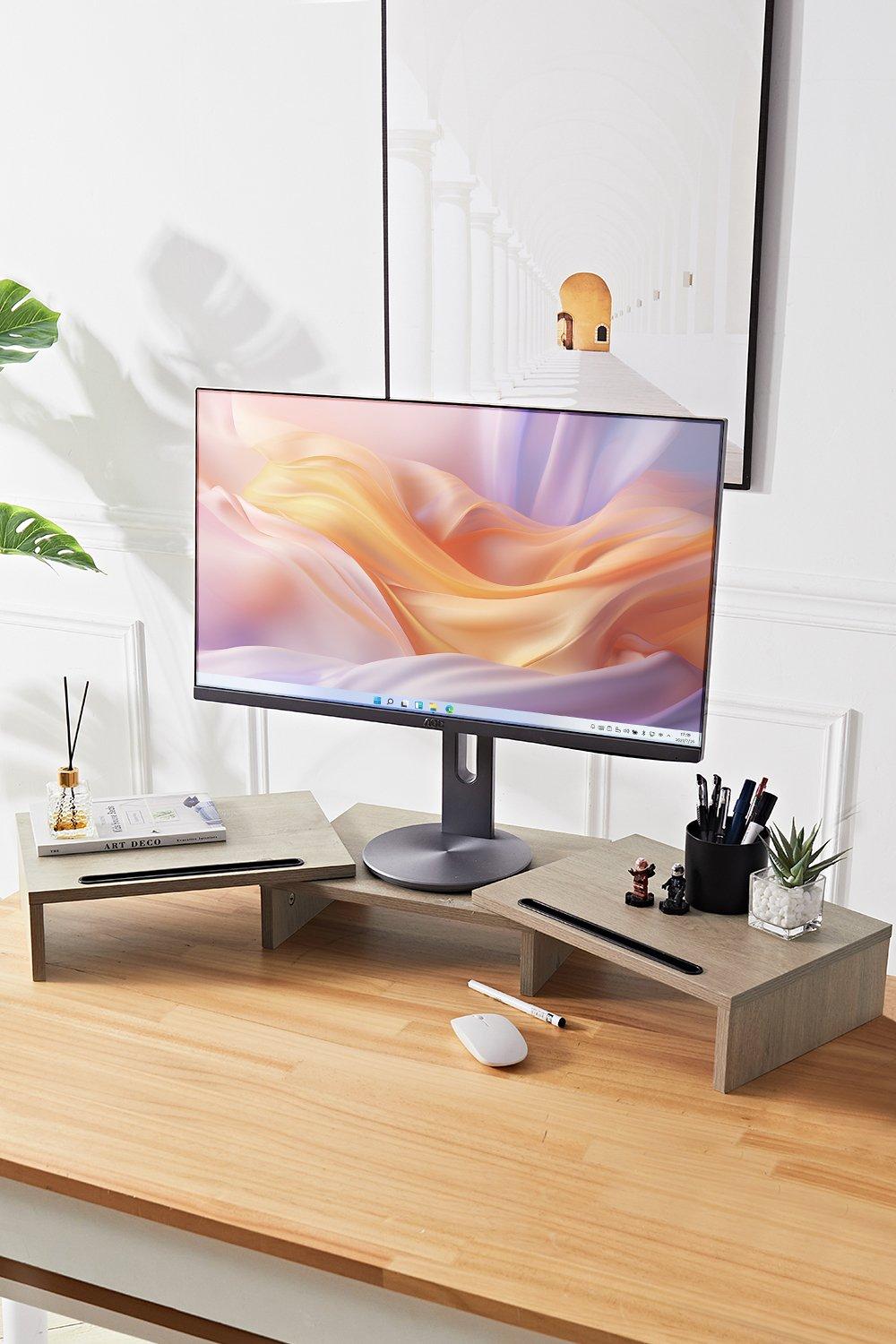 Dual Computer Monitor Stand