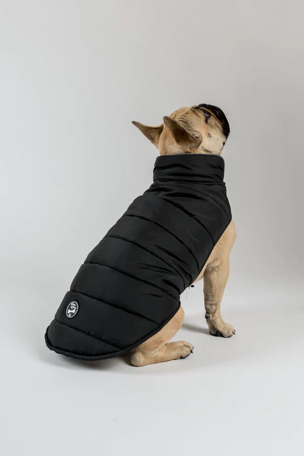 POLLY' Recycled Padded Dog Coat