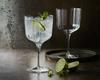 Luigi Bormioli Bach Crystal Gin Glasses Set of 4, Gin Gift Set, Dishwasher Safe, Perfect for Gin Enthusiasts thumbnail 2