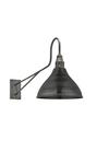 Industville Long Arm Cone Wall Light, 12 Inch, Pewter, Pewter Holder thumbnail 1