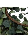 Living and Home D55cm Artificial Topiary Hanging Wreath Eucalyptus Leaf Decoration thumbnail 3