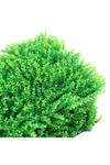 Living and Home 6 Pcs Artificial Boxwood Plant Panel Wall Decoration Privacy Hedge Screen thumbnail 2