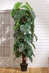 Living and Home Artificial Monstera Plant Large Greenery Home Decor with Pot thumbnail 1