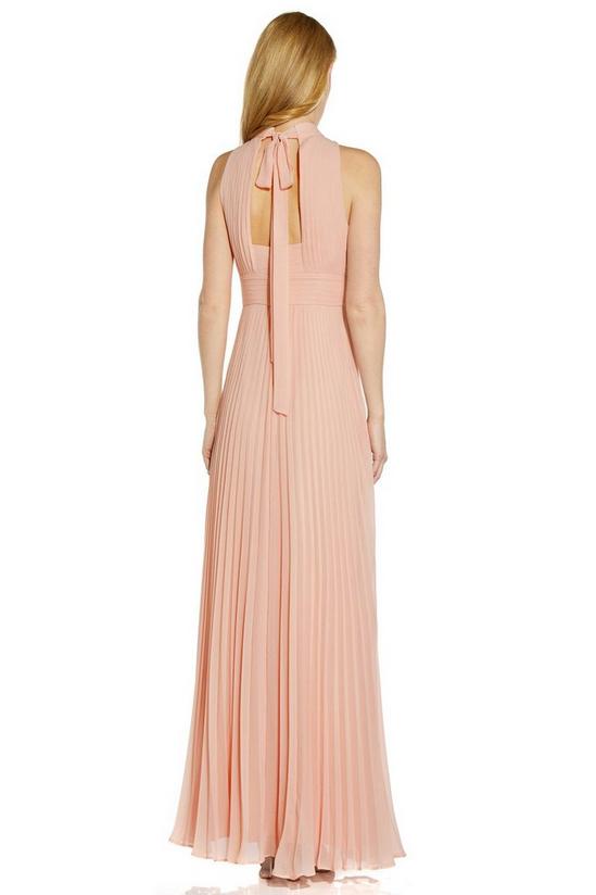 Adrianna Papell Pleated Chiffon Gown 3