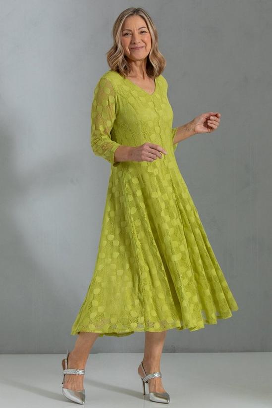 Anna Rose Panelled Lace Midi Dress 2