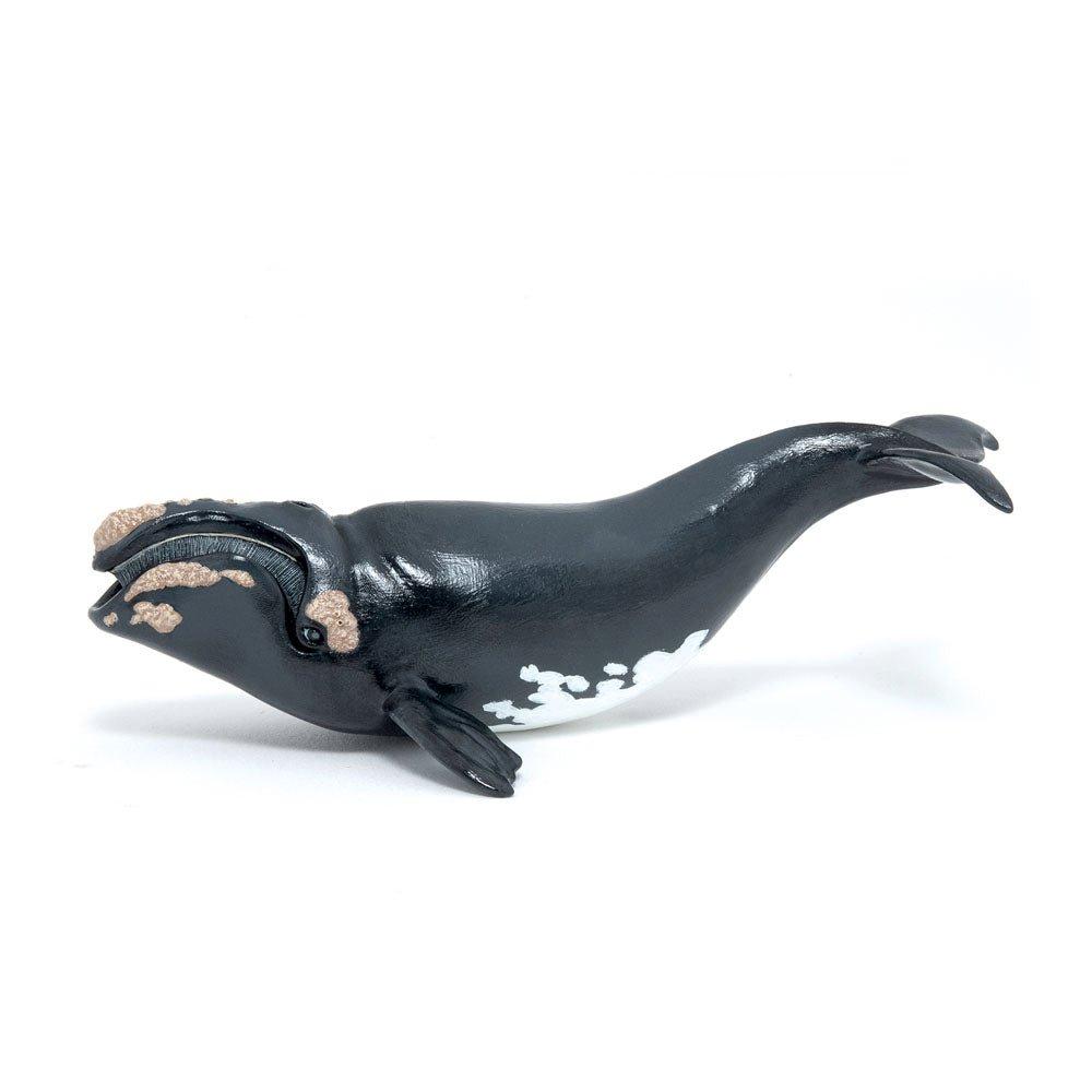 Marine Life Right Whale Toy Figure (56057)