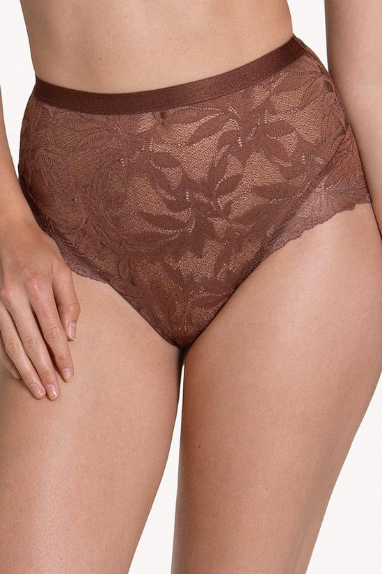 Lisca Lace 'Harvest' Full Briefs 1