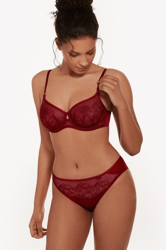 Lisca 'Ruby' Underwired Non-Padded Full Cup Bra 1