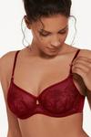 Lisca 'Ruby' Underwired Non-Padded Full Cup Bra thumbnail 3