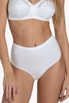 Lisca 2 Pack Cotton 'Aura' Full Brief Knickers thumbnail 1