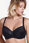 Lisca 'Evelyn' Underwired Full Cup Bra (Fuller Bust) thumbnail 2