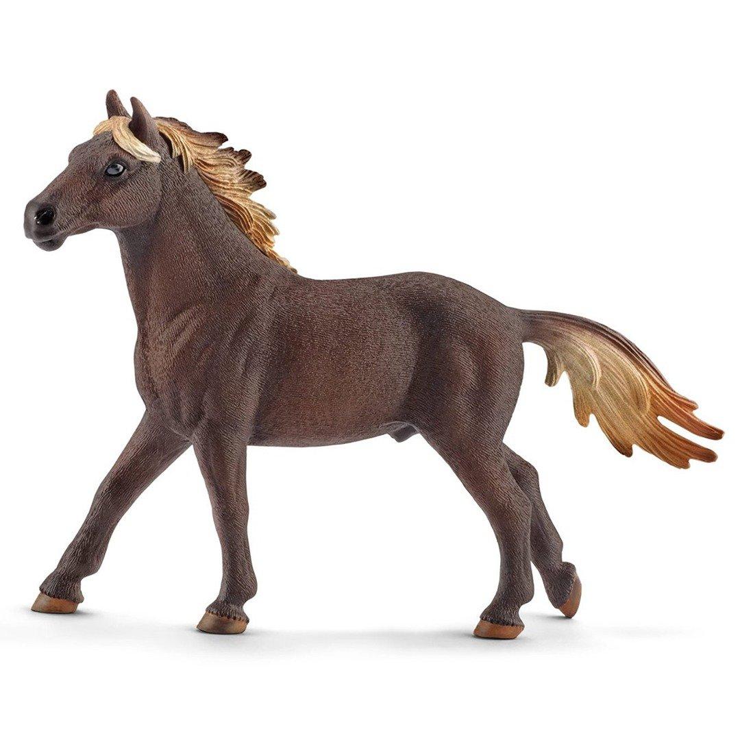 Mustang Stallion
