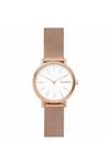 Skagen Signatur Plated Stainless Steel Classic Analogue Watch - Skw2694 thumbnail 1