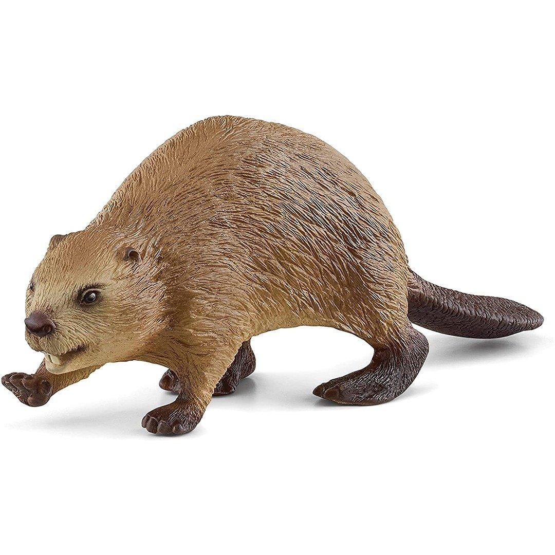 14855 Wild Life Beaver