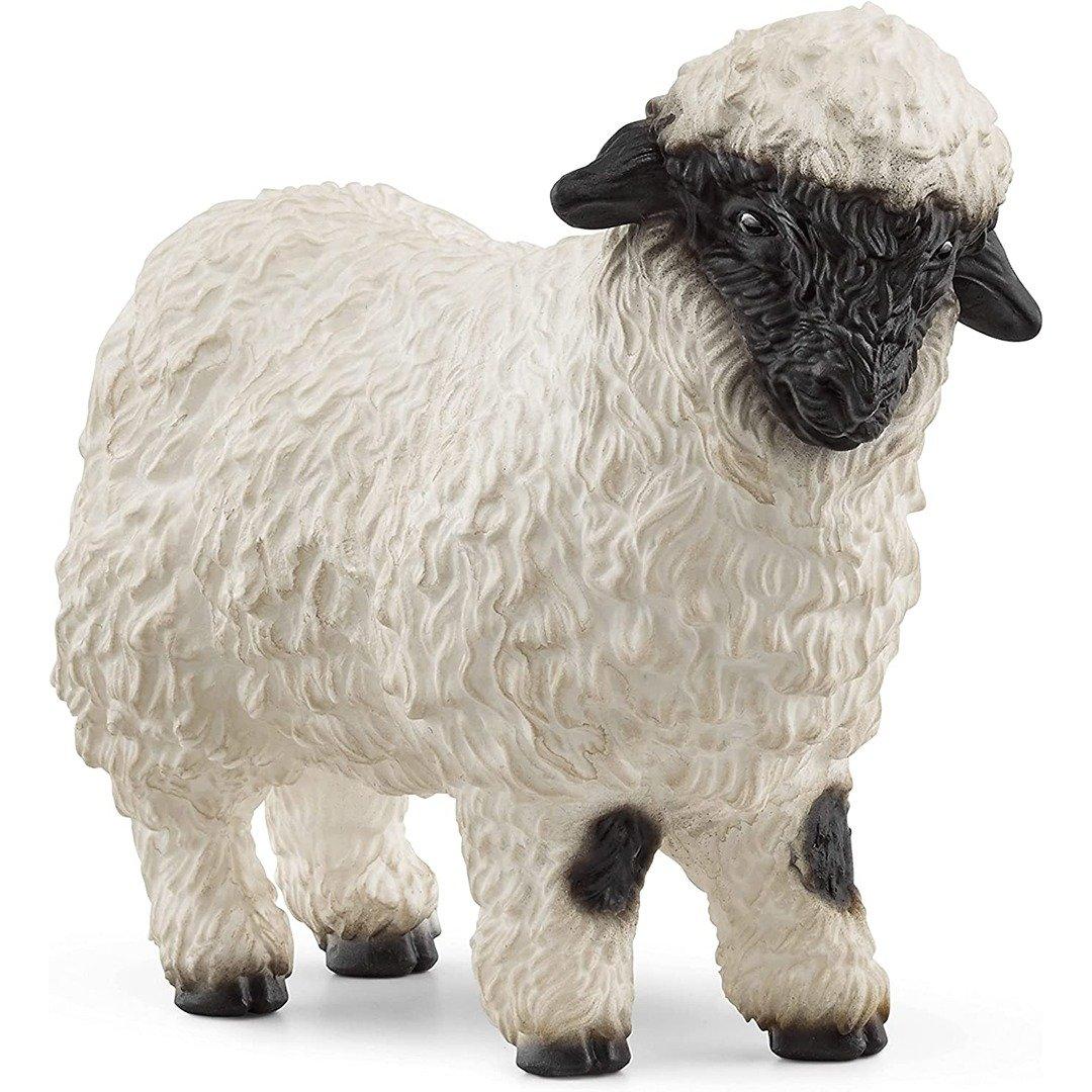 Valais Black Nosed Sheep