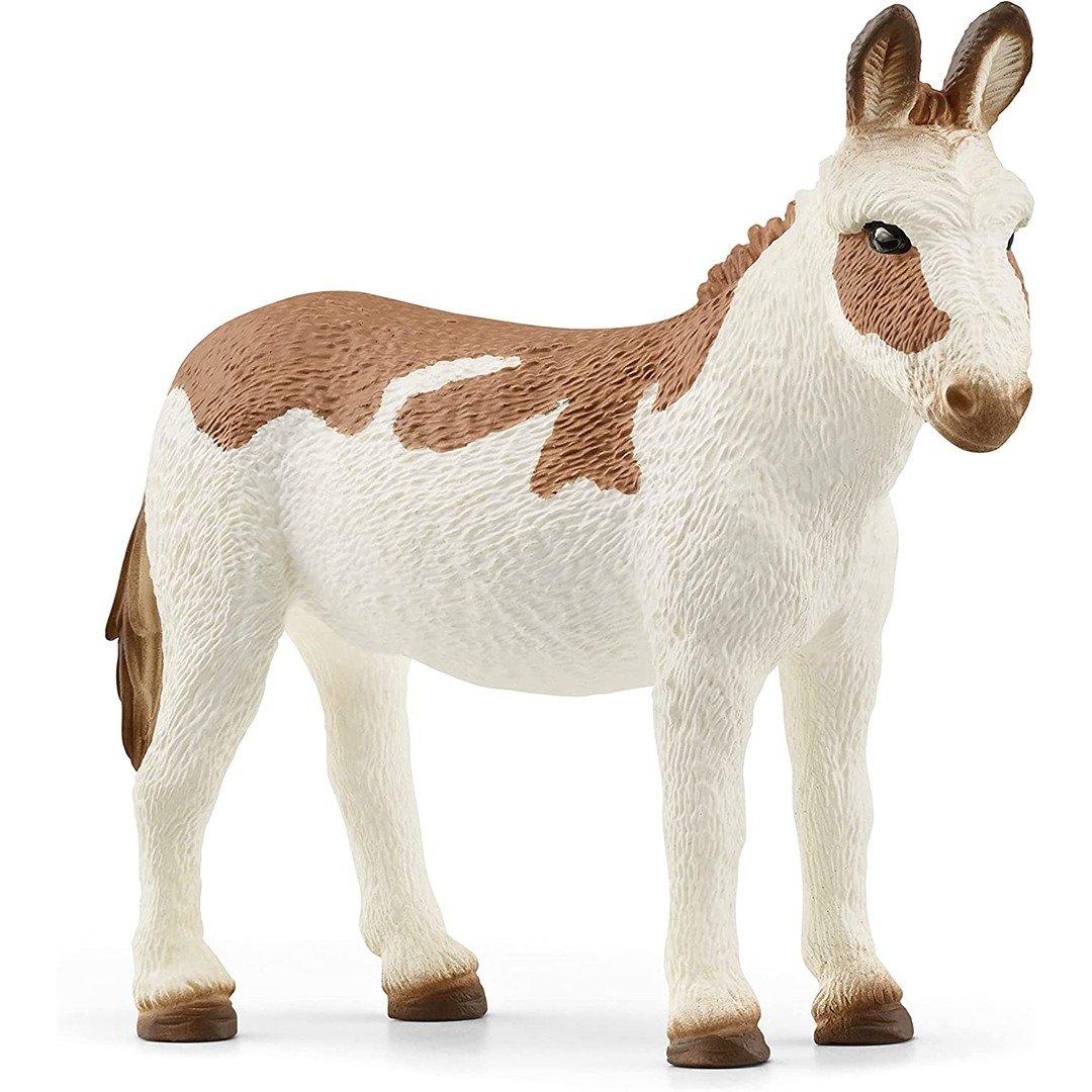 American Spotted Donkey