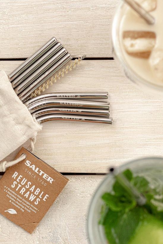 Salter Eco Reusable Stainless Steel Drinking Straws 1