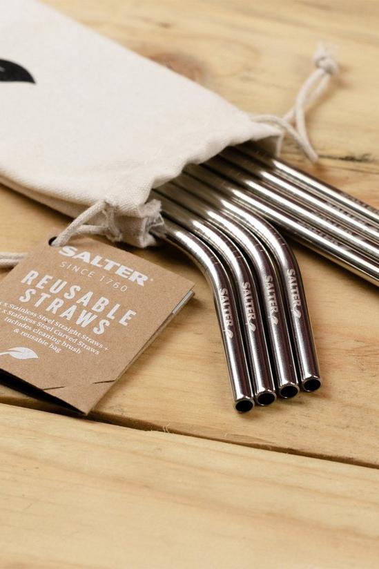 Salter Eco Reusable Stainless Steel Drinking Straws 2