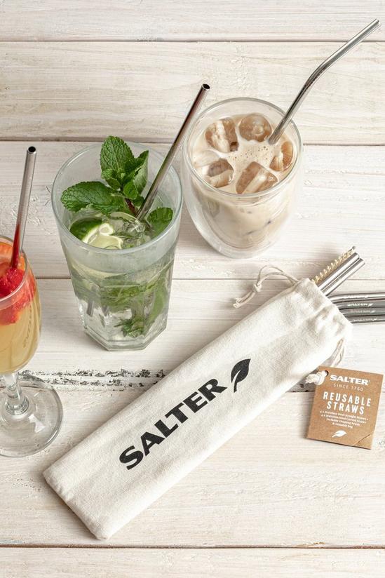 Salter Eco Reusable Stainless Steel Drinking Straws 5