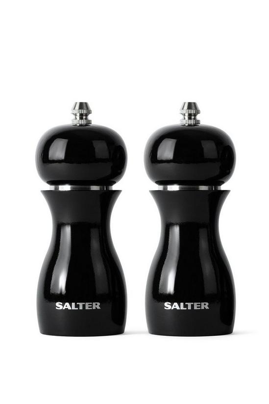 Salter Gloss Salt and Pepper Grinders 1