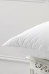 Hallmark 'Softened Goose Feather' Pillow thumbnail 1