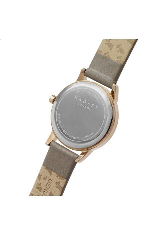 Radley Plated Stainless Steel Fashion Quartz Watch - Ry21316 4
