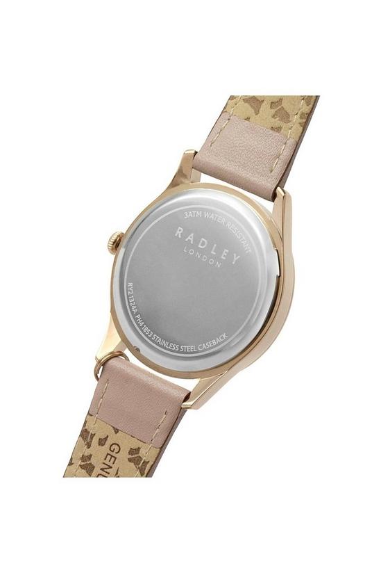 Radley Plated Stainless Steel Fashion Analogue Quartz Watch - Ry21324A 4