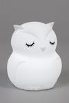 BHS Lighting Glow Owl Table Lamp thumbnail 1