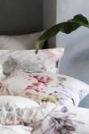 Linen House Sansa Soft Floral Pillowcase Sham thumbnail 3