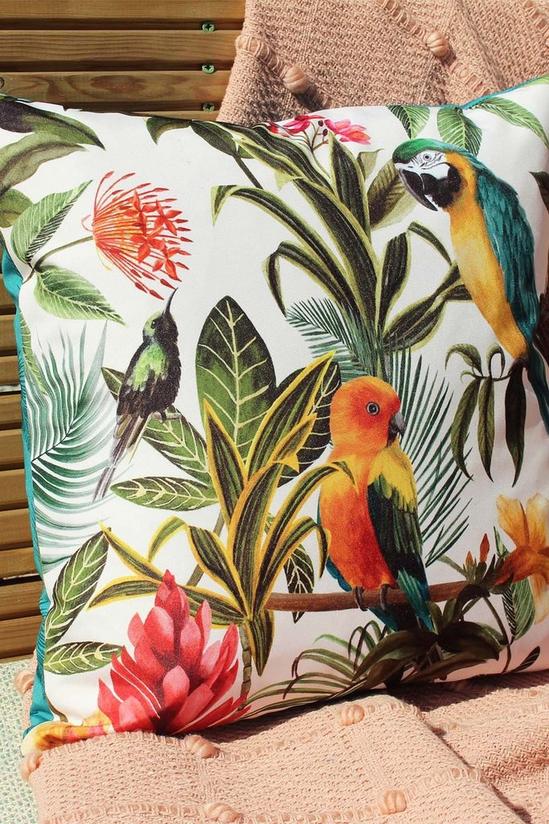 Evans Lichfield Parrots Tropical Water & UV Resistant Outdoor Cushion 4