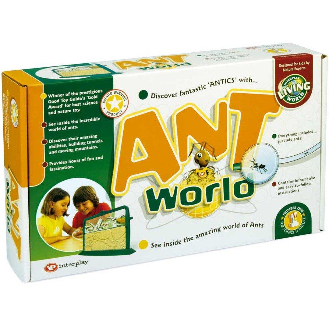 Ant World