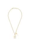 STORM Jewellery Onyxia Gold Plated Stainless Steel Necklace - 9980696/gd thumbnail 1