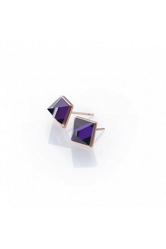 STORM Jewellery 'Gemza' Plated Stainless Steel Earrings - 9980724/P 1