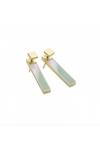 STORM Jewellery Silica Gold Plated Stainless Steel Earrings - 9980749/ic thumbnail 1