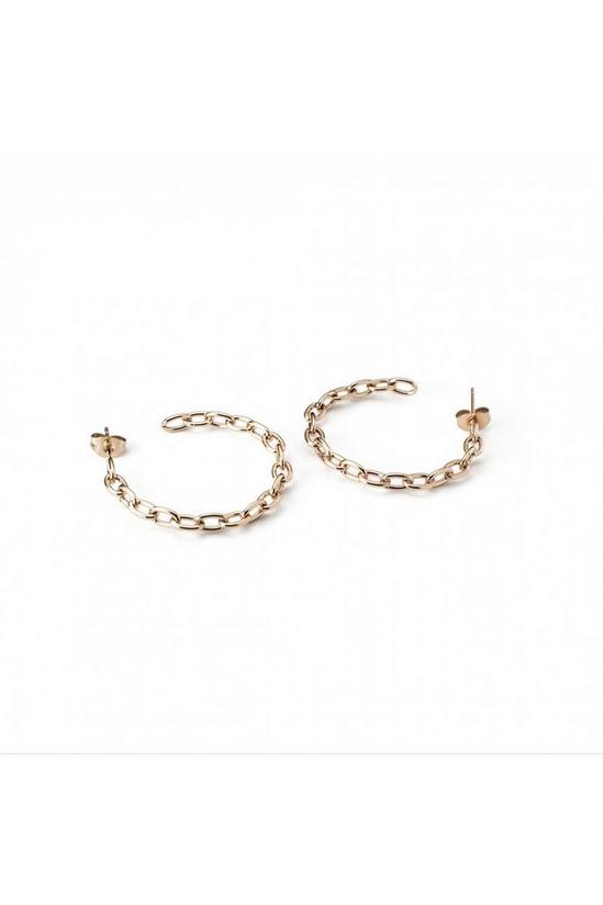 STORM Jewellery Mya Hoop Plated Stainless Steel Earrings - 9980878/RG 1