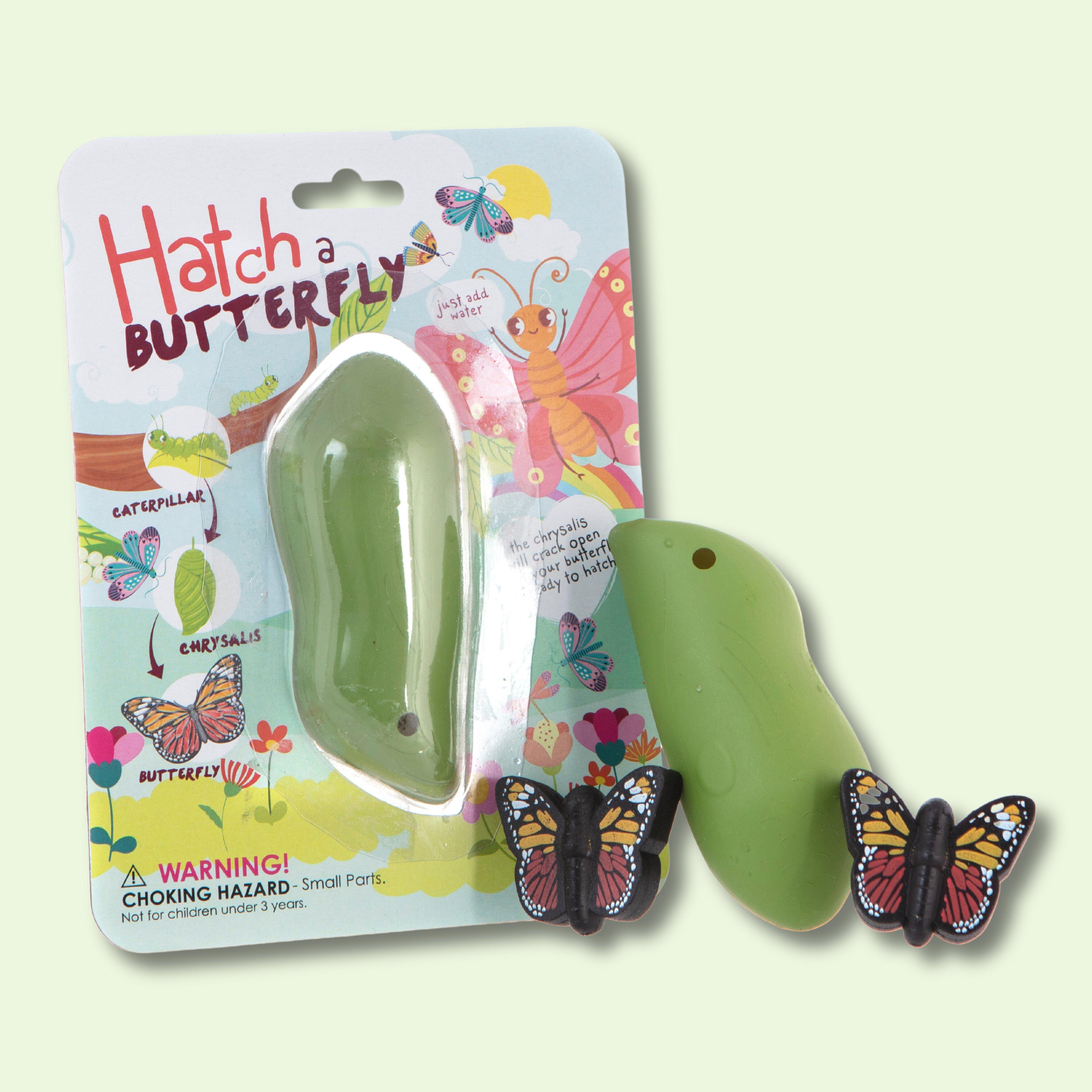 Hatch A Butterfly Toy