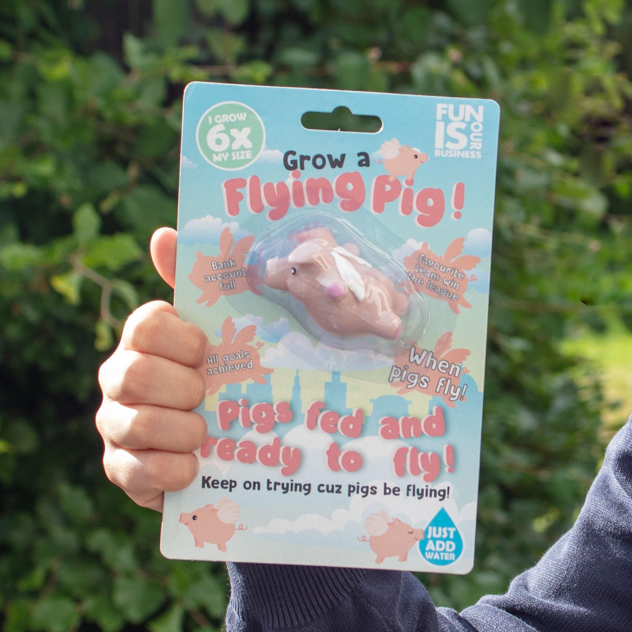 Grow Your Own Flying Pig Toy