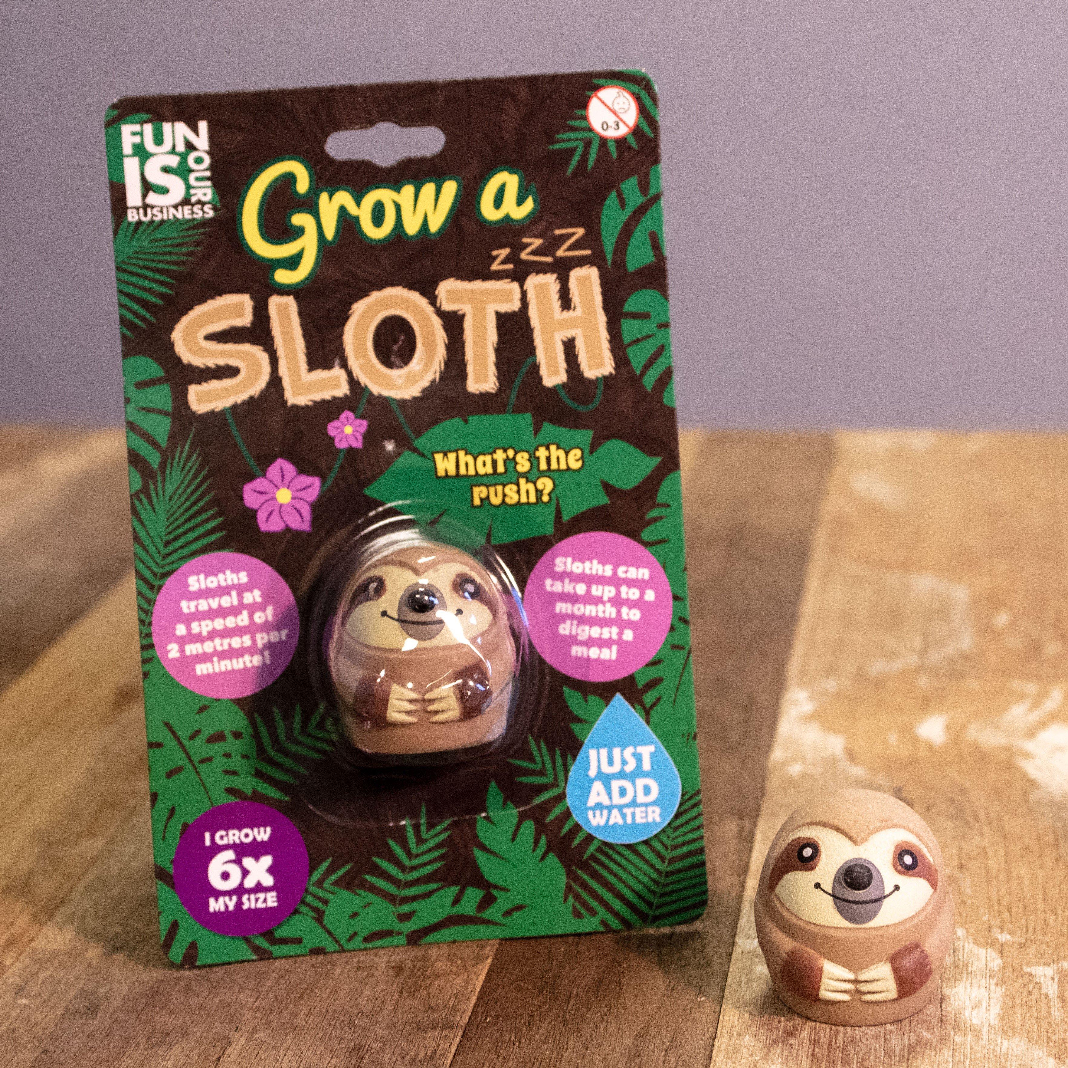 Grow A Sloth Toy - Kids Stocking Filler