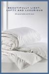 Snuggledown Hotel Goose Feather & Down 13.5 Tog (9+4.5 Tog) All Seasons Duvet thumbnail 4