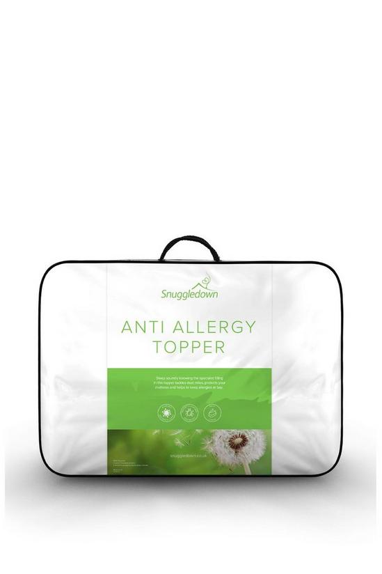 Snuggledown Anti Allergy Mattress Topper 1