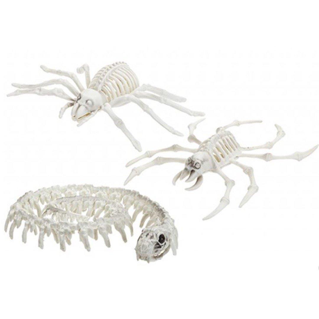 Skeleton Animal Spider, Crab or Snake (One at Random)