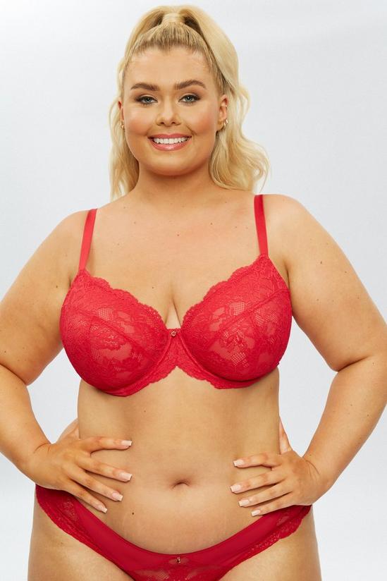Lingerie, Sexy Lace Planet Fuller Bust DD+ Non Pad Red